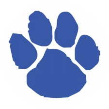 Woodbury Central High School logo